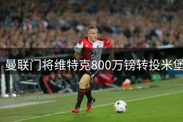 曼联门将维特克800万镑转投米堡 创英冠引援新纪录