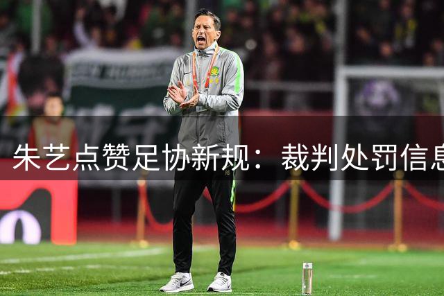 朱艺点赞足协新规：裁判处罚信息不应公开